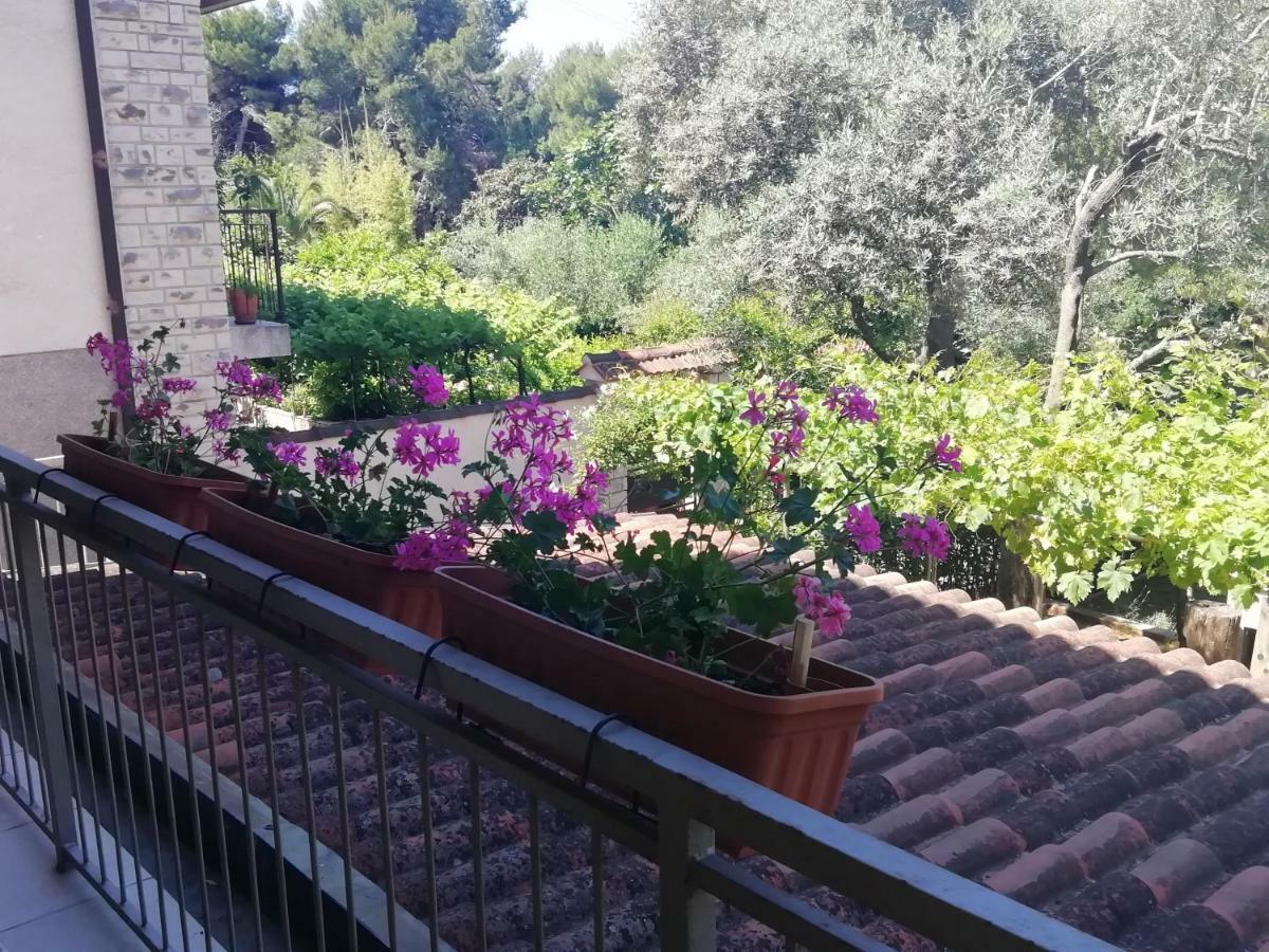 Apartments Jadranka Ivana PUY מראה חיצוני תמונה